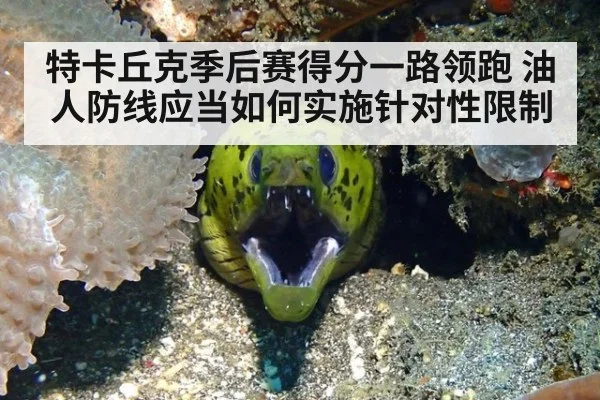 特卡丘克季后赛得分一路领跑 油人防线应当如何实施针对性限制